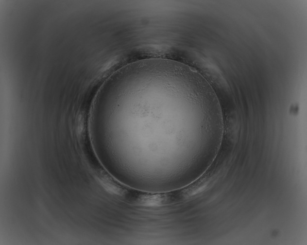 X0000097770131200803071326