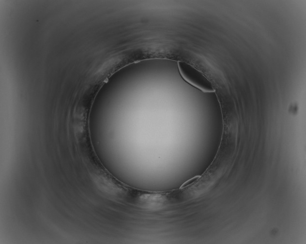 X0000097770133200803071326