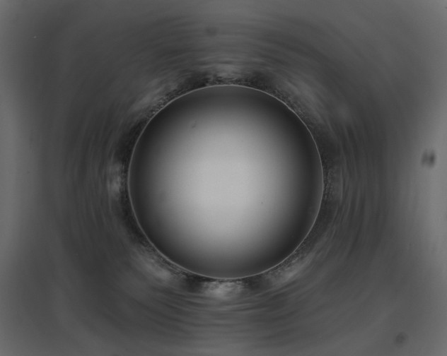 X0000097770135200803071326