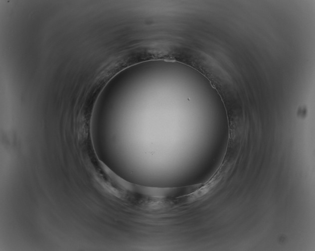 X0000097770136200803071326
