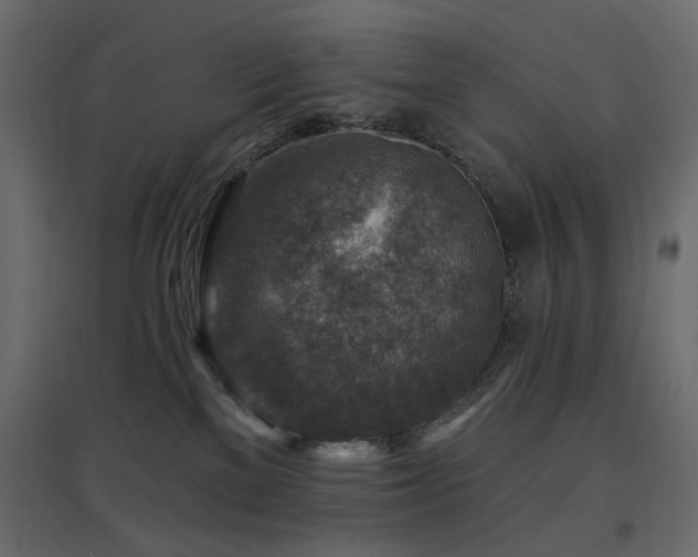 X0000097770137200803071326
