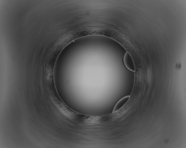 X0000097770138200803071326