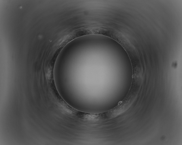 X0000097770139200803071326
