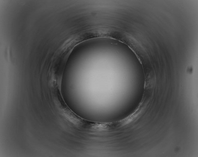X0000097770140200803071326