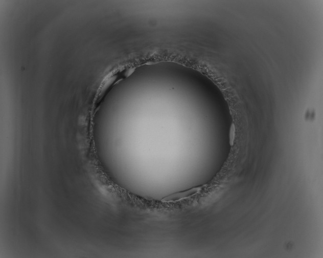 X0000097770144200803071326