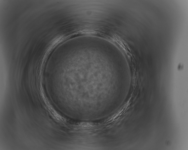 X0000097770145200803071325