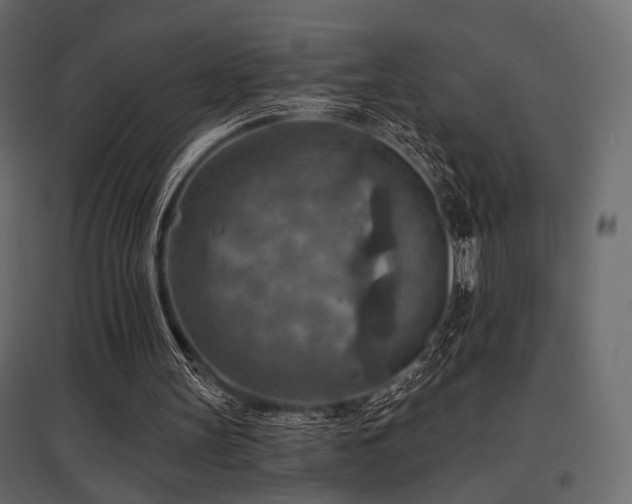 X0000097770147200803071325