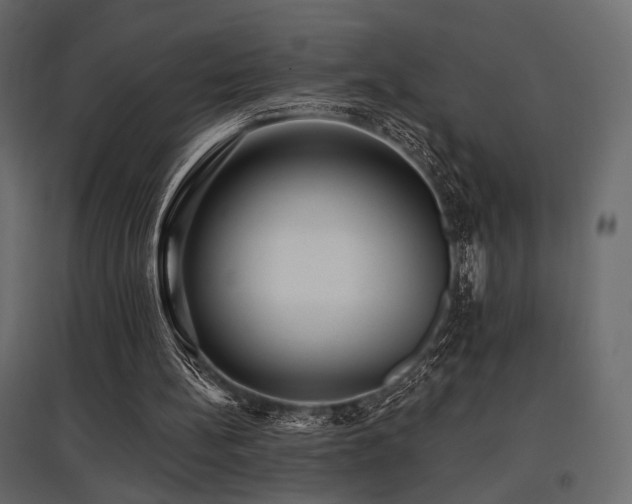X0000097770148200803071325