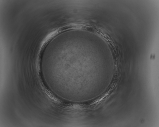 X0000097770149200803071325