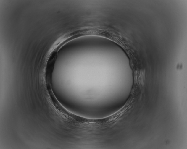 X0000097770150200803071325