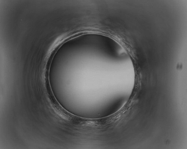X0000097770151200803071325