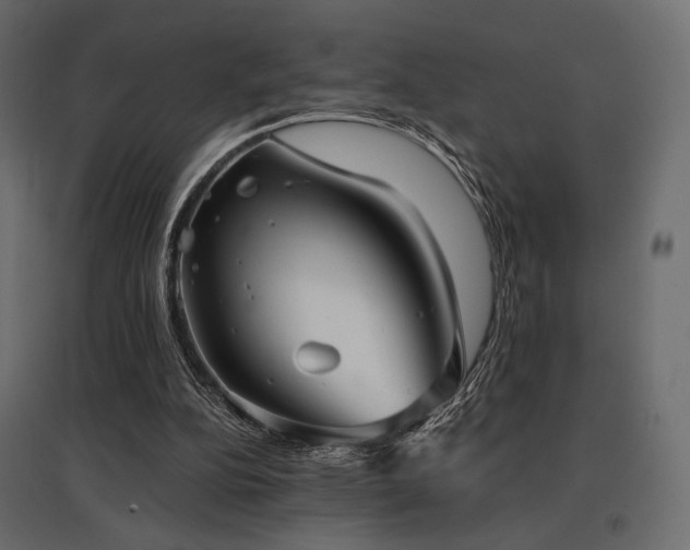 X0000097770152200803071325