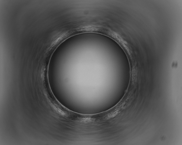 X0000097770153200803071325