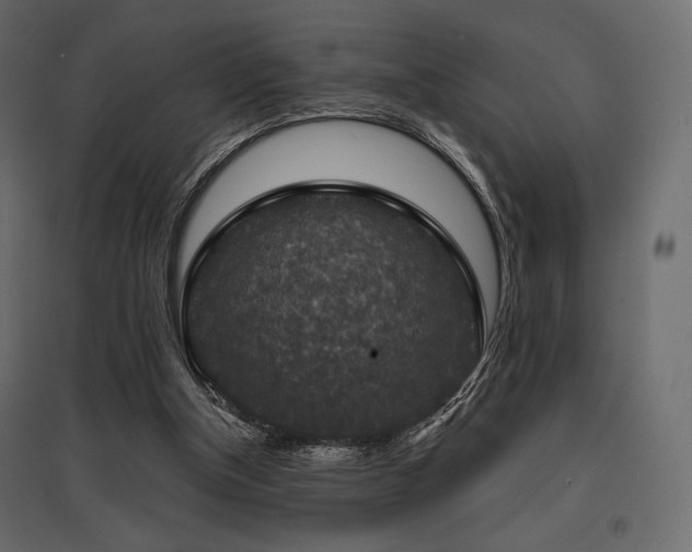 X0000097770154200803071325