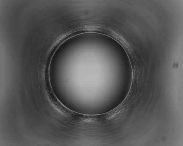 X0000097770155200803071325