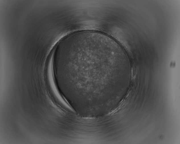 X0000097770156200803071325