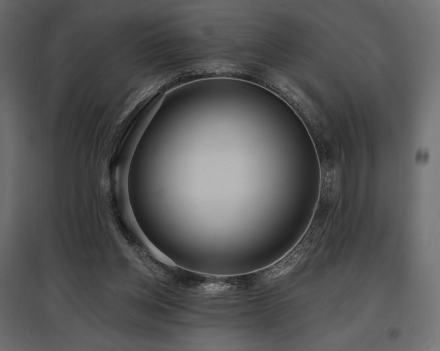 X0000097770158200803071325