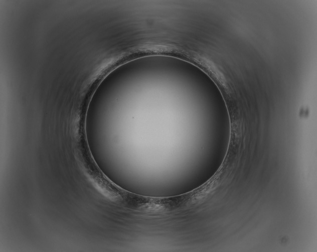X0000097770159200803071325