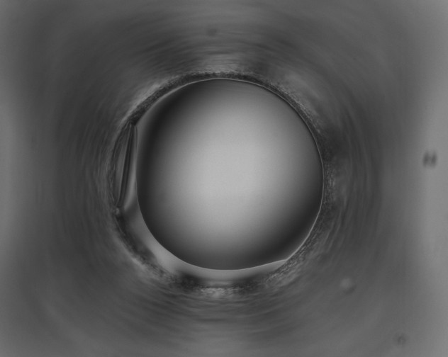 X0000097770160200803071325