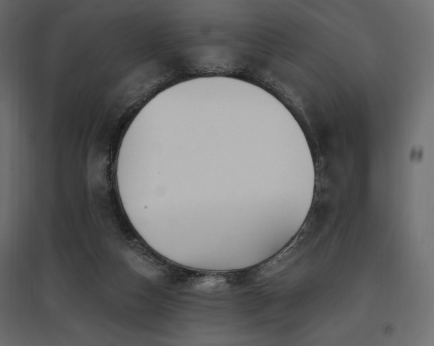 X0000097770162200803071325