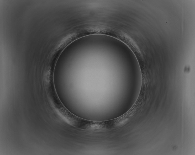 X0000097770163200803071325