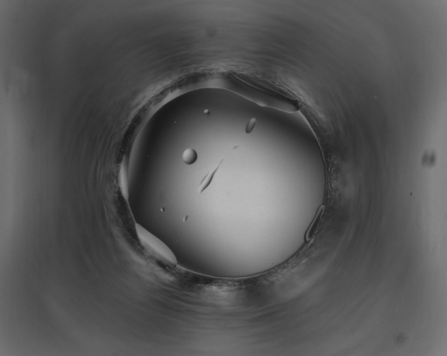 X0000097770164200803071325