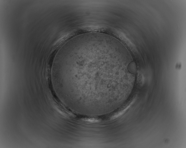 X0000097770165200803071325