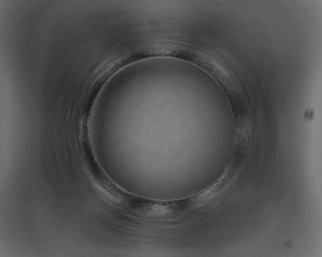 X0000097770166200803071325