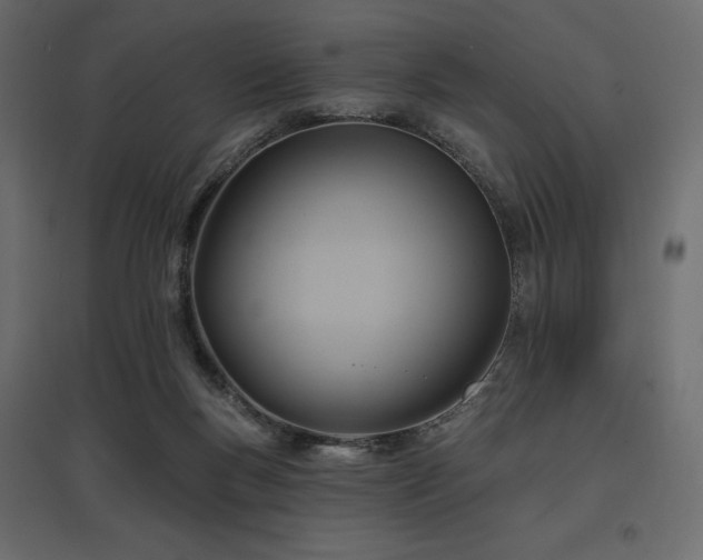 X0000097770167200803071325