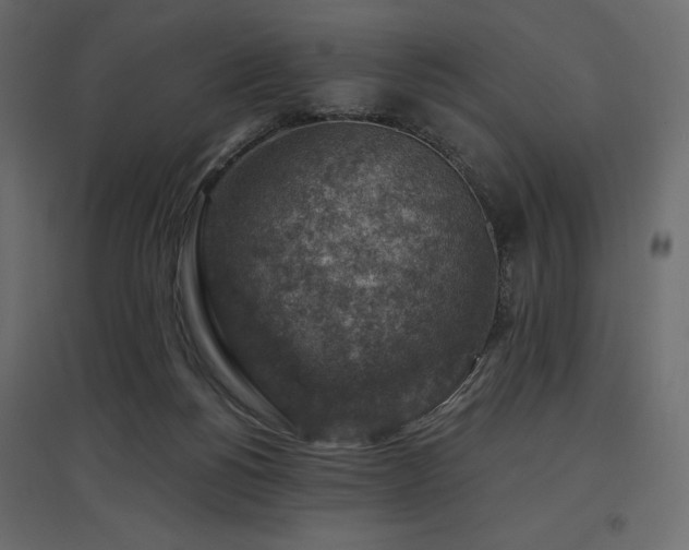 X0000097770168200803071325