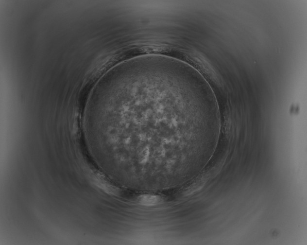 X0000097770169200803071325
