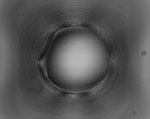 X0000097770170200803071325