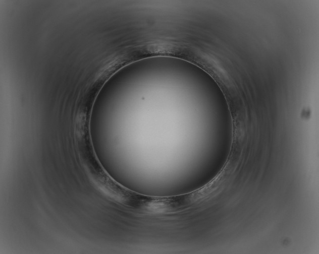 X0000097770171200803071325