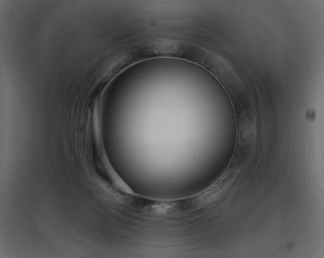 X0000097770172200803071325