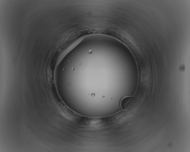 X0000097770173200803071325