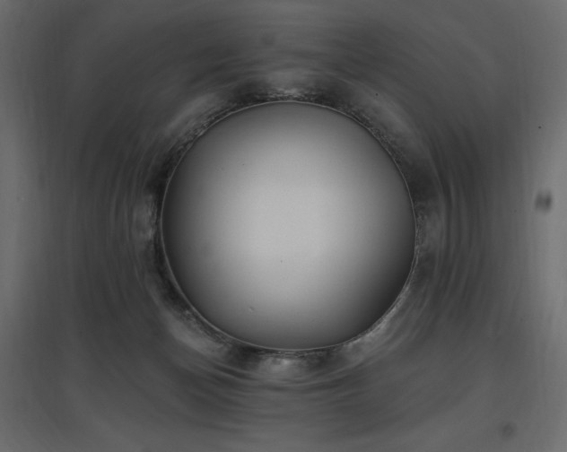 X0000097770174200803071325