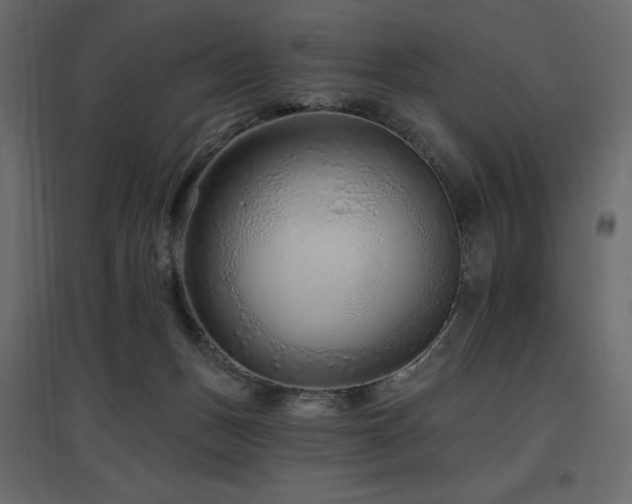 X0000097770175200803071326