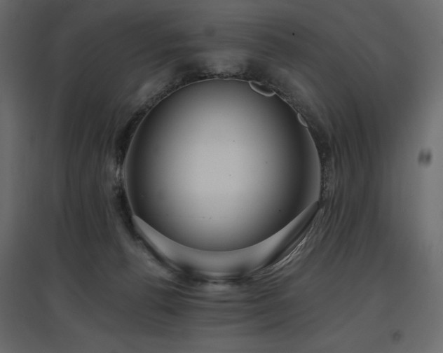 X0000097770176200803071326