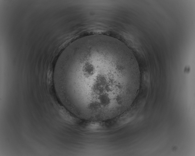 X0000097770177200803071326