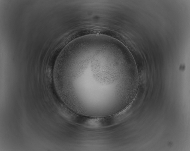 X0000097770178200803071326