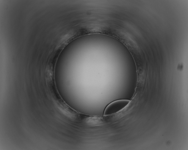 X0000097770179200803071326