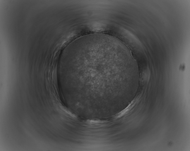X0000097770180200803071326