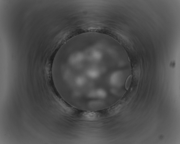 X0000097770181200803071326