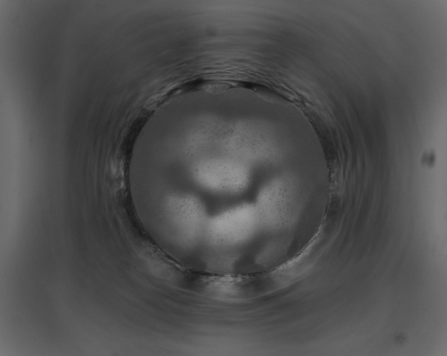 X0000097770182200803071326
