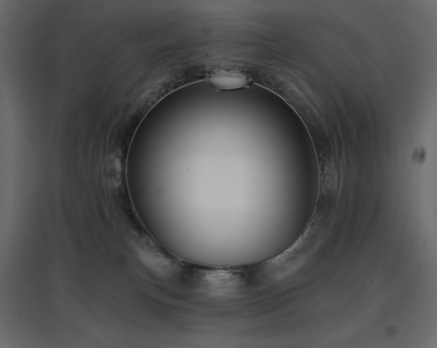 X0000097770183200803071326