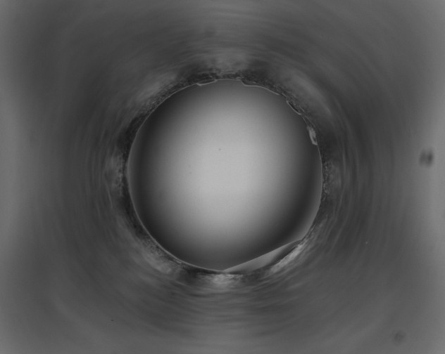 X0000097770184200803071326