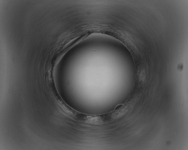 X0000097770185200803071326