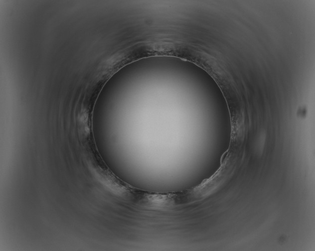X0000097770187200803071326