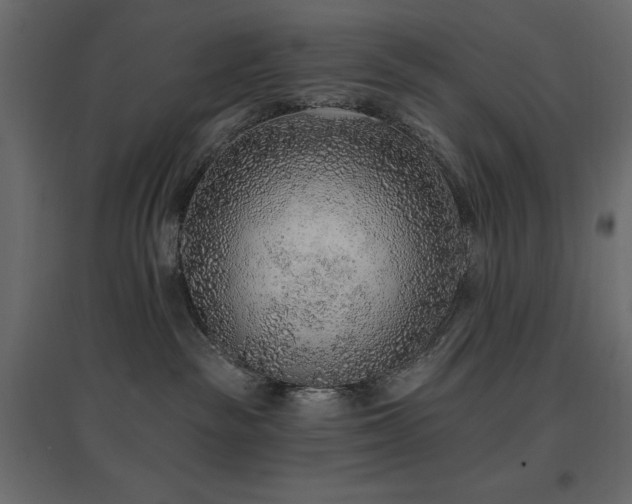 X0000097770189200803071326