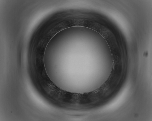 X0000097770190200803071326